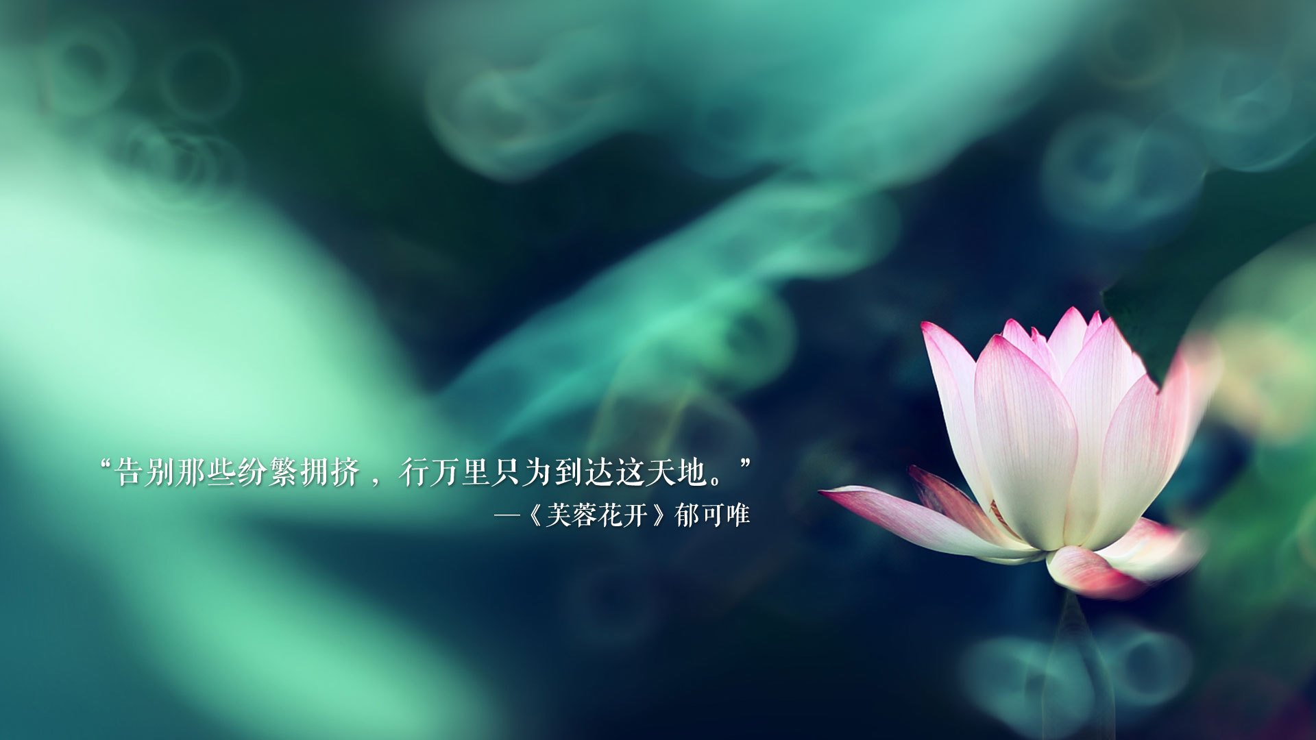 AYX GAME-伯恩茅斯前场压迫积极，樱桃军团期待保级上岸
