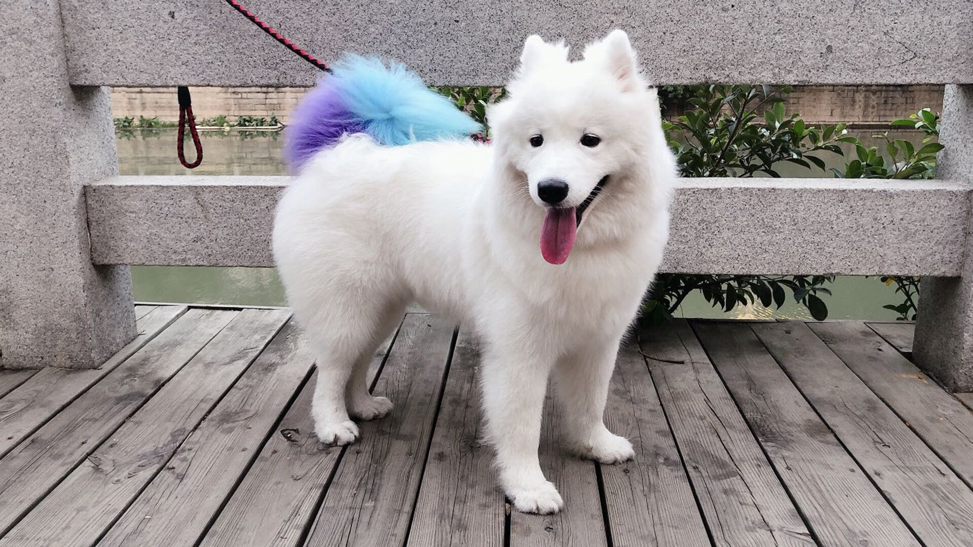 中国篮球教练员教学方法现代化改革与实践探索，全国篮球教练员岗位培训