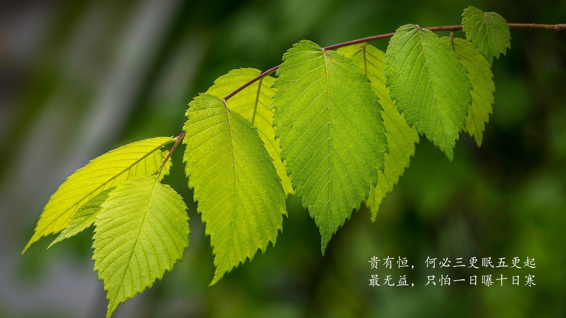 中美澳三国对抗形成多项目立体态势，中澳战略对话