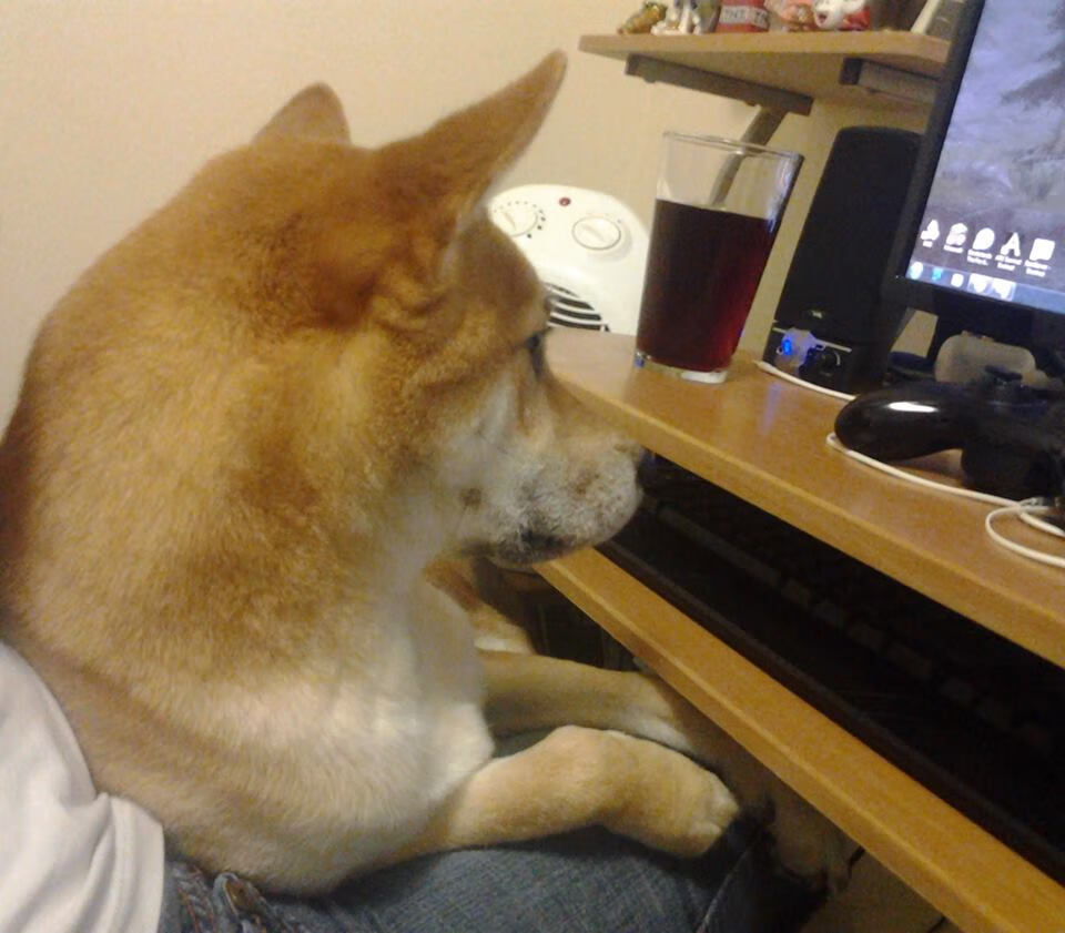 爱游戏官方-“华金·托比利亚的全能防守与进攻威胁，成就阿根廷美洲狮队的进攻防守平衡”