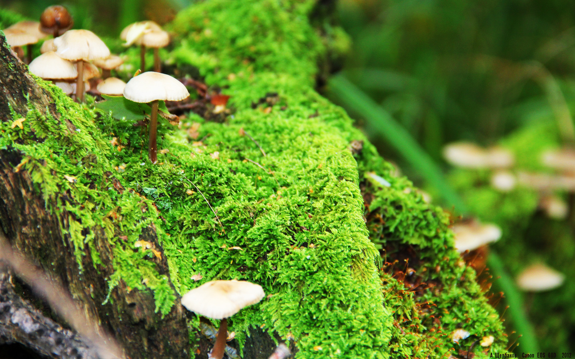 世界杯震撼逆转：最后一刻创造奇迹奇观，世界杯逆转 最后三分钟连进三球