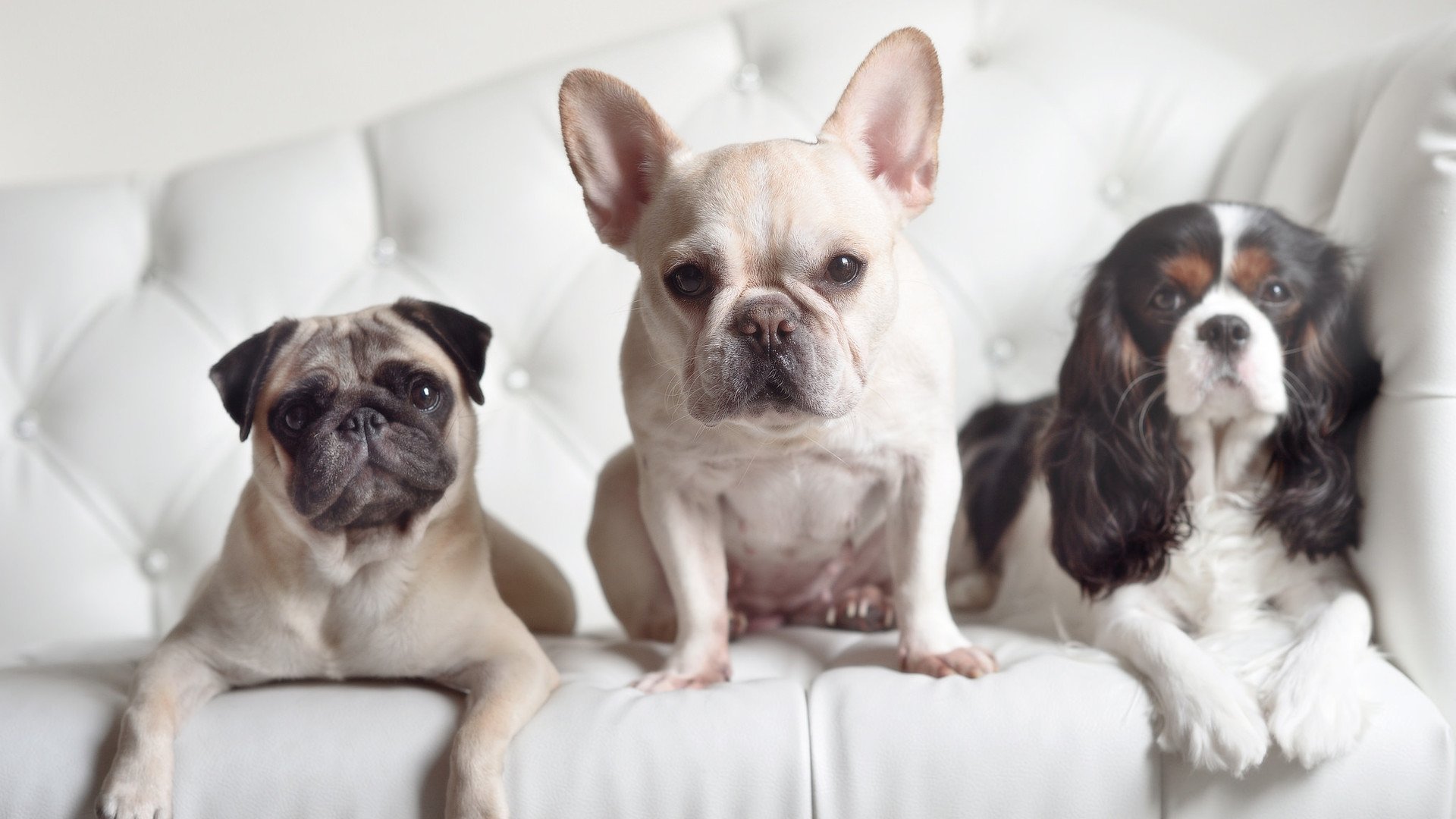 篮球公益项目拓展乡村篮球发展助力体育扶贫战略，农村篮球赛捐款倡议书